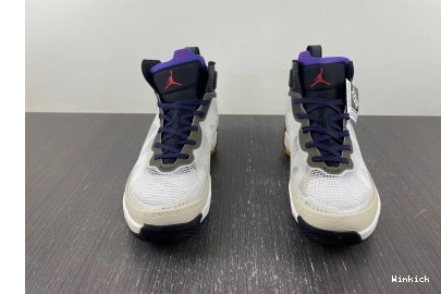 Jordan Bone Dark 37 Concord DD6958-160 Light 0812